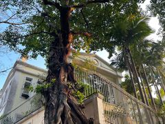 -龙环葡韵住宅式博物馆