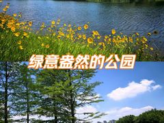 -尚贤河湿地