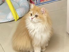 -联合动物医院(光谷诊疗中心)