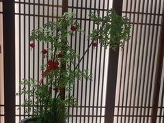 -康逸居·始于2002(海安店)