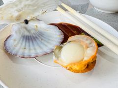 -大锅强·蒸海鲜青岛菜(吾悦广场店)