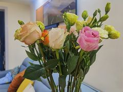 -循礼门鲜花花市(武汉循礼门店)