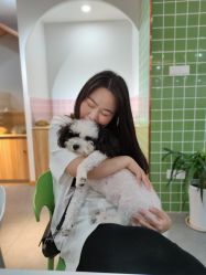 -Moni星球萌宠·小马宝莉·灵蛇·高端高阶全萌宠互动体验俱乐部(红豆国际广场店)