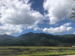 -腾冲北海湿地