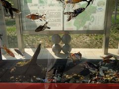 -石家庄市动物园