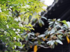 -南京民俗博物馆(甘熙故居)