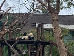 -武汉动物园