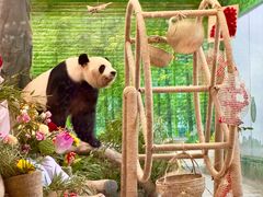 -灵玲国际马戏城