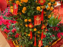 -北京中国大饭店