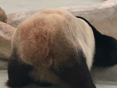 -柳州市动物园