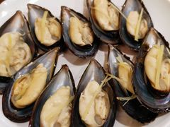 青口贝-全渔村小海鲜