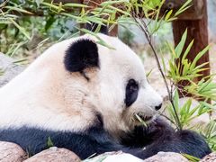 -泉州海丝野生动物世界