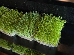 -盡膳口福跷脚牛肉火锅(北美新天地店)