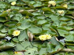 -昆山城市生态森林公园