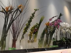-溪岸路花鸟市场