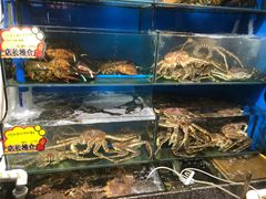 水产区-蚝专家(北滘店)
