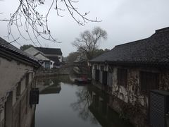 -鲁镇