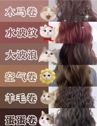 -Sugar Hair Salon
