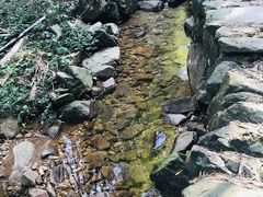 -会稽山峡洞漂流-上青古道