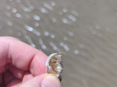 -南澳海滩