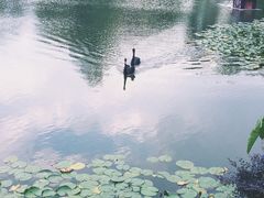 -常州武进九洲喜来登酒店