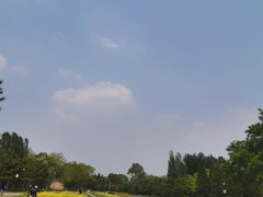 -北坞公园
