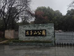 -太子山公园(园东路)