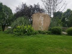 -白鹭湾湿地公园