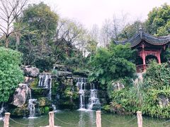 -新概念来凤鱼(璧山店)