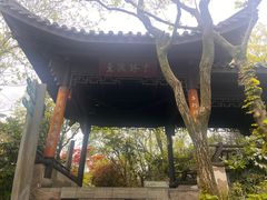 -杭州半山国家森林公园