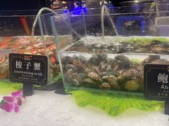 -宴立方海鲜自助(义乌万达广场店)