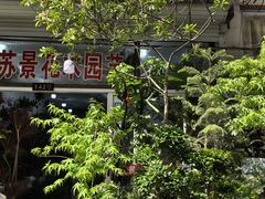 -苏州市皮市街花鸟工艺品市场