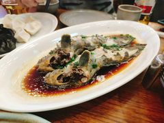 豉蒸南海大龙胆-必点海鲜·鲅鱼水饺(鞍山西道店)