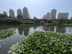 -前关湿地公园