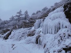-秦岭风景区