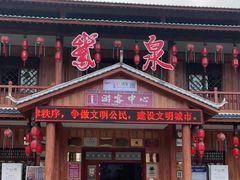 -靖西鹅泉风景区