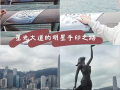 -星光大道