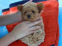 -青岛第三海水浴场