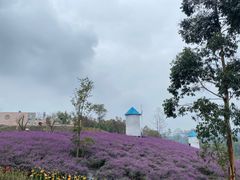 -都江堰玫瑰花溪谷