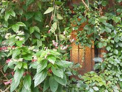 -西关84·History·Art·Cafe