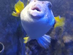 -太平洋海底世界