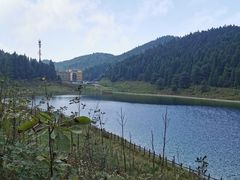 -武陵山森林公园