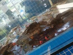 -启博美食城(孟家店)