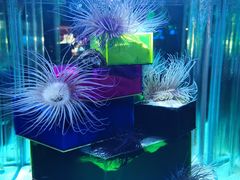 -太平洋海底世界