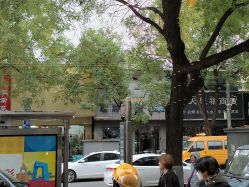 -新时模型(新街口店)