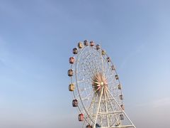 -碧海金沙