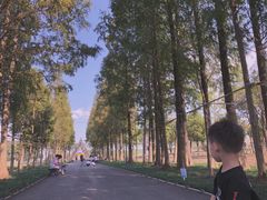 -歌斐颂巧克力小镇