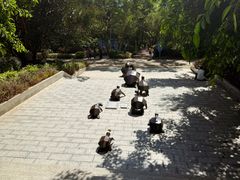 -广东惠东海龟国家级自然保护区