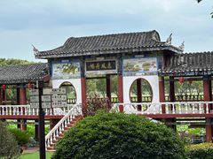 -洪湖生态旅游区