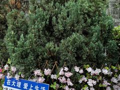 -天龙八部武侠城